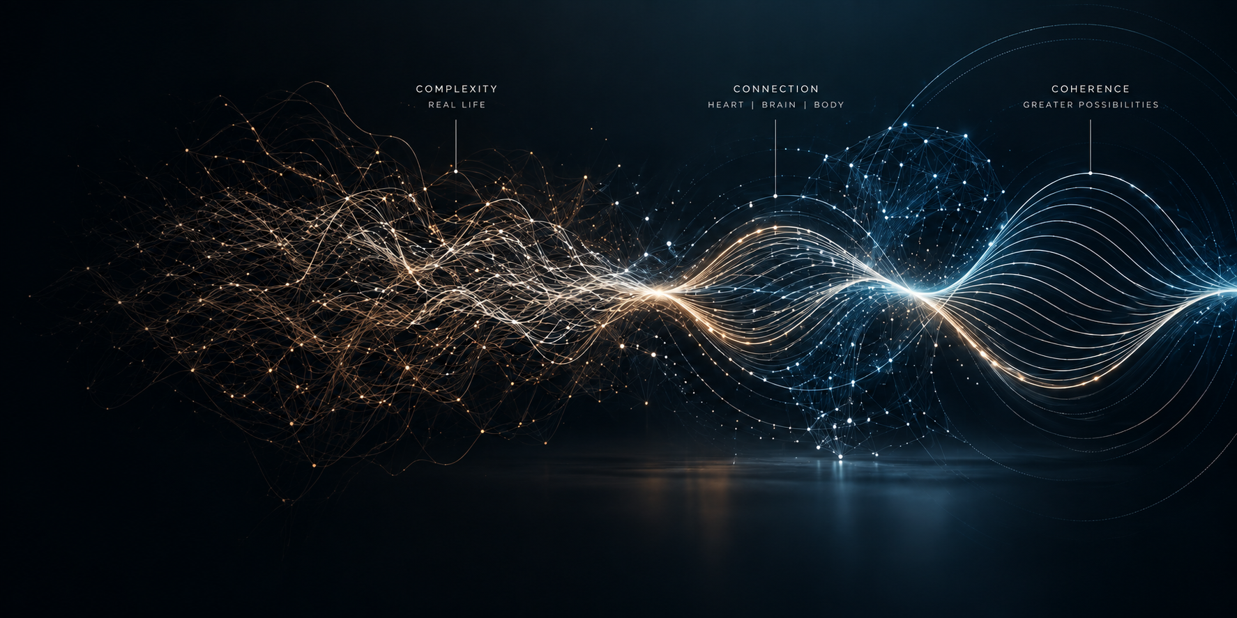 Coherence waveform — from complexity through connection to coherence